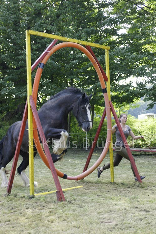 Agility_20120804_0364