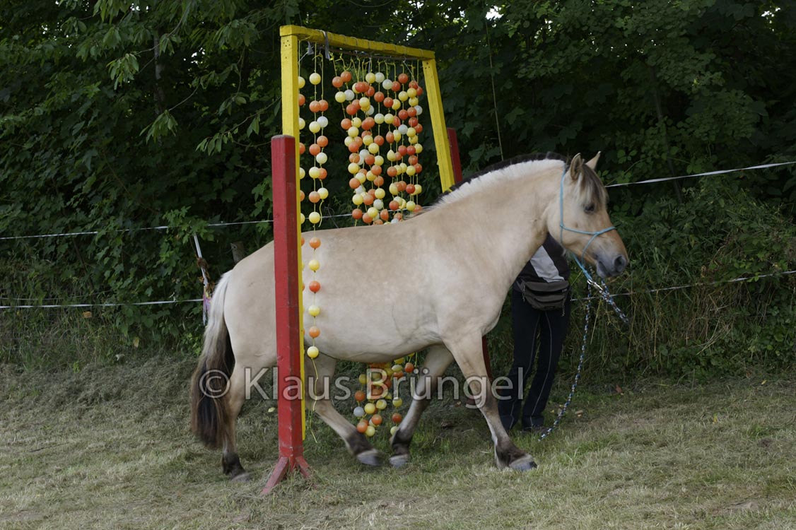 Agility_20120804_0378-Fr