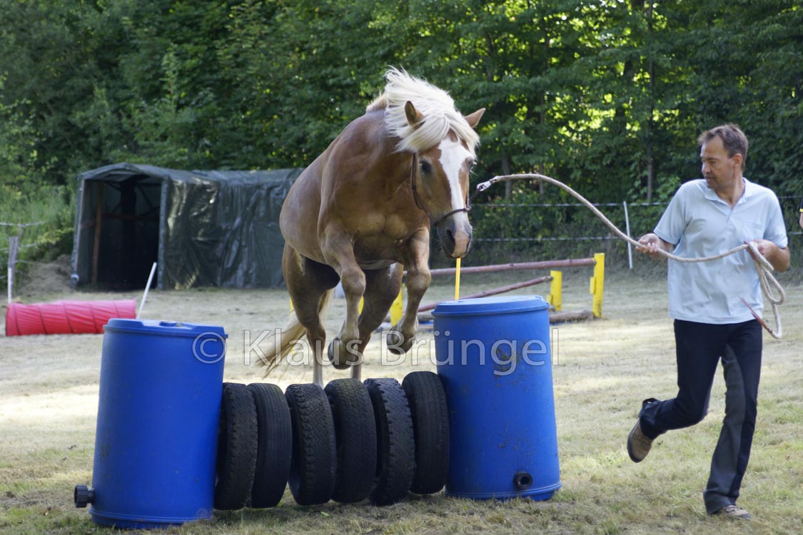 Agility_20120804_0390-Kor