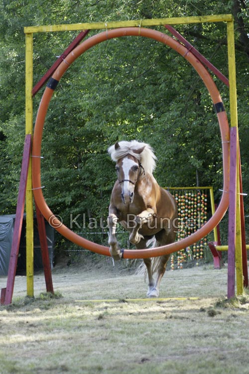Agility_20120804_0400Fr