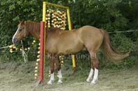 Agility_20120804_0241-Fr
