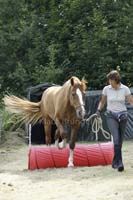 Agility_20120804_0246
