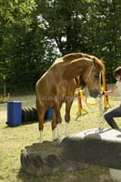 Agility_20120804_0255