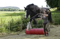 Agility_20120804_0265-Kor+F