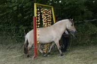 Agility_20120804_0378-Fr