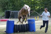 Agility_20120804_0390-Kor