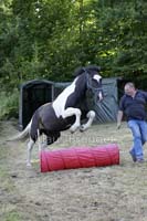 Agility_20120804_0469-Fr