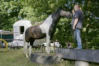 Agility_20120804_0491-Kor