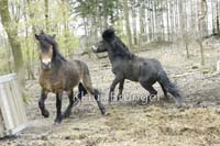 E05-Exmoor_20120426_0066