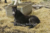 E09-Exmoor_0023