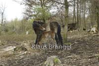 E17-Exmoor_20120416_0088