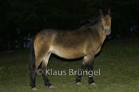 E22-Exmoor_0192