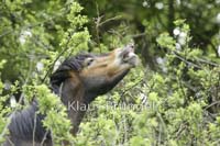 E23-Exmoor_20120510_0363
