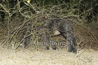 E27-Exmoor_0175