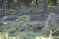 E28-Exmoor_0230