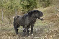 F-20-Exmoor_20120416_0115