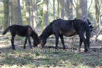 F-21-Exmoor_0188