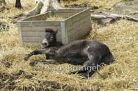 J-11-Exmoor_0021