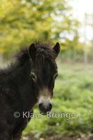 J-12-Exmoor_0136