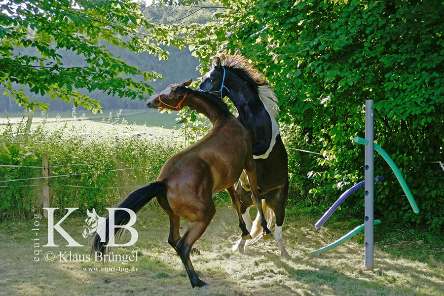 %_tempFileNameAgility-20120804-0548BC%