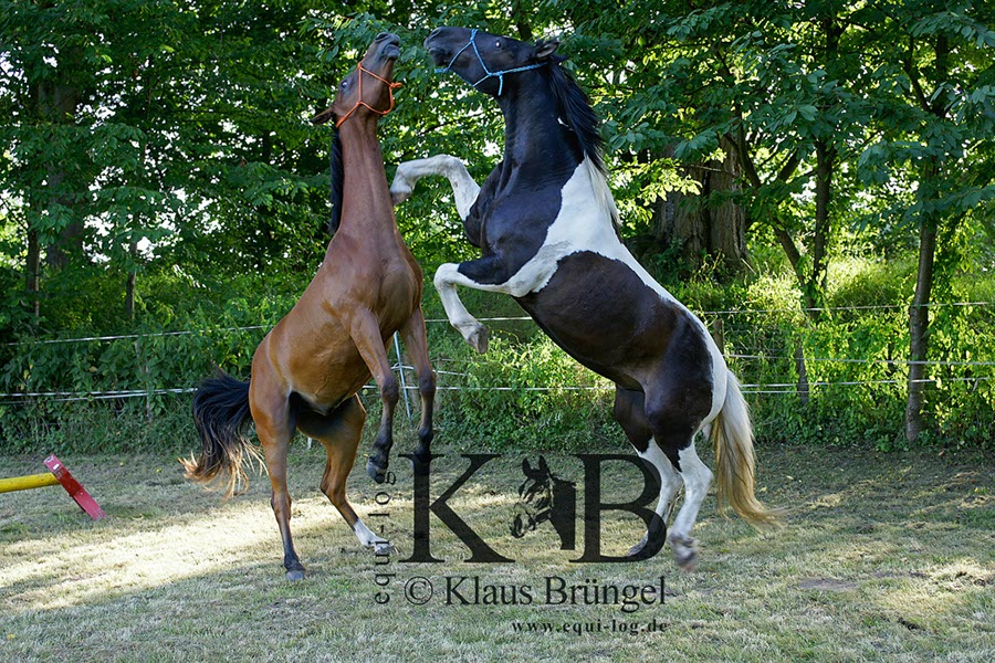 %_tempFileNameAgility-20120804-0582BC%