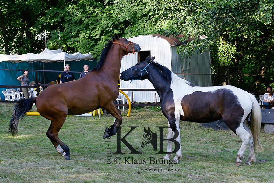 %_tempFileNameAgility-20120804-0589BC%