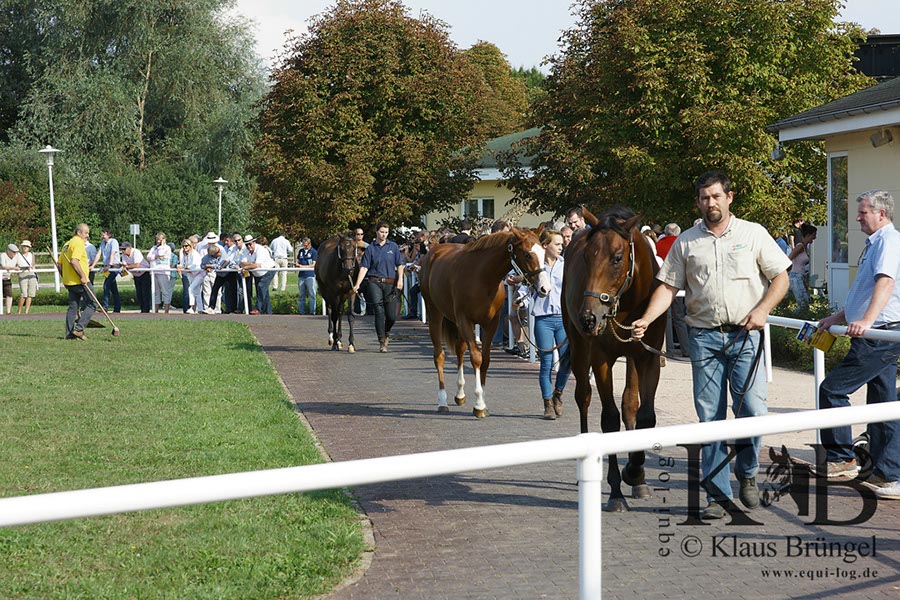 %_tempFileName2013-08-30-Iffezheim-0197BC%
