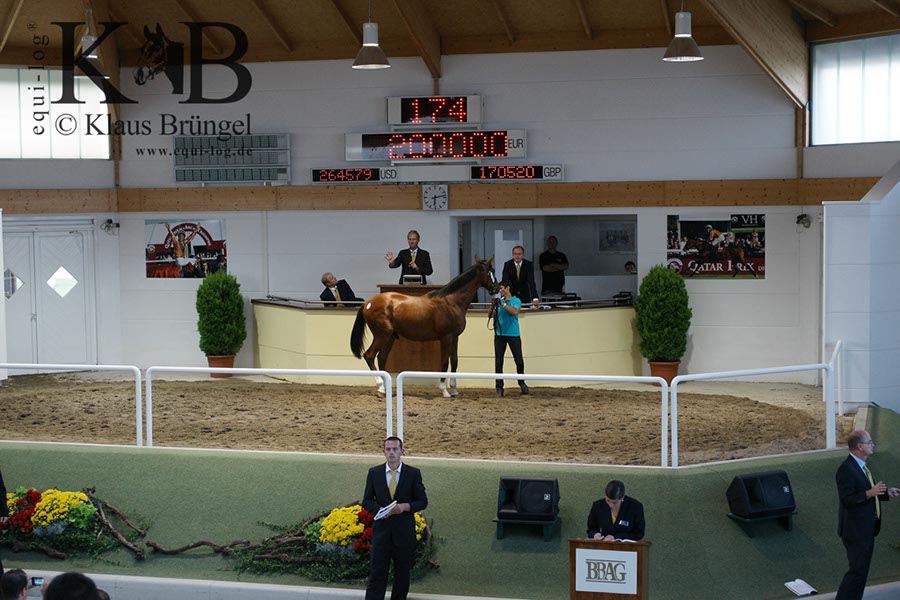 %_tempFileName2013-08-30-Iffezheim-0341BC%