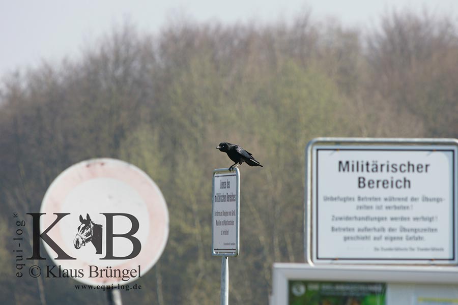 %_tempFileName2014-03-14-Schmidtenhoehe_0006BC%