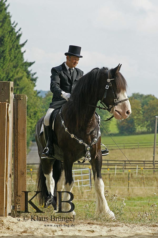 %_tempFileName2013-09-07-Alpenrod_0221BC%