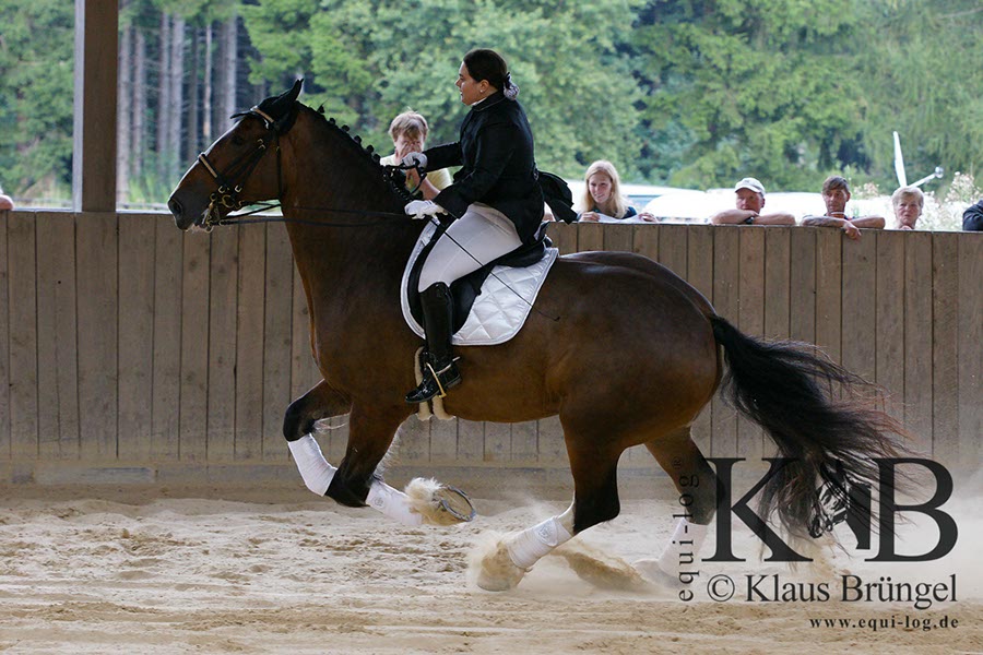 %_tempFileName2013-09-07-Alpenrod_0675BC%