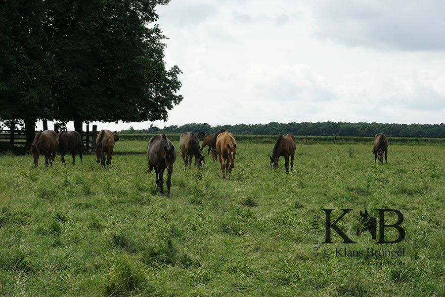 %_tempFileName2013-06-29-In-0477BC%