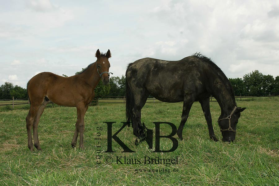 %_tempFileName2013-06-29-In-0495BC%