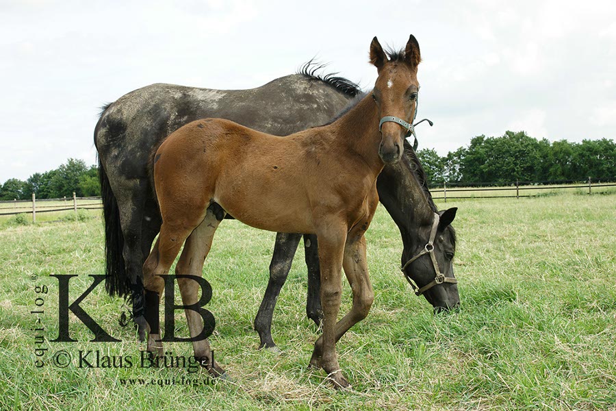 %_tempFileName2013-06-29-In-0497BC%