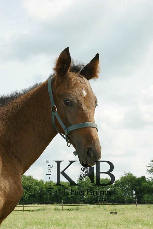 %_tempFileName2013-06-29-In-0501BC%