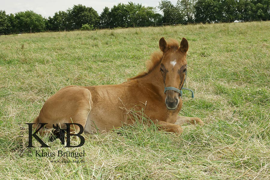 %_tempFileName2013-06-29-In-0503BC%