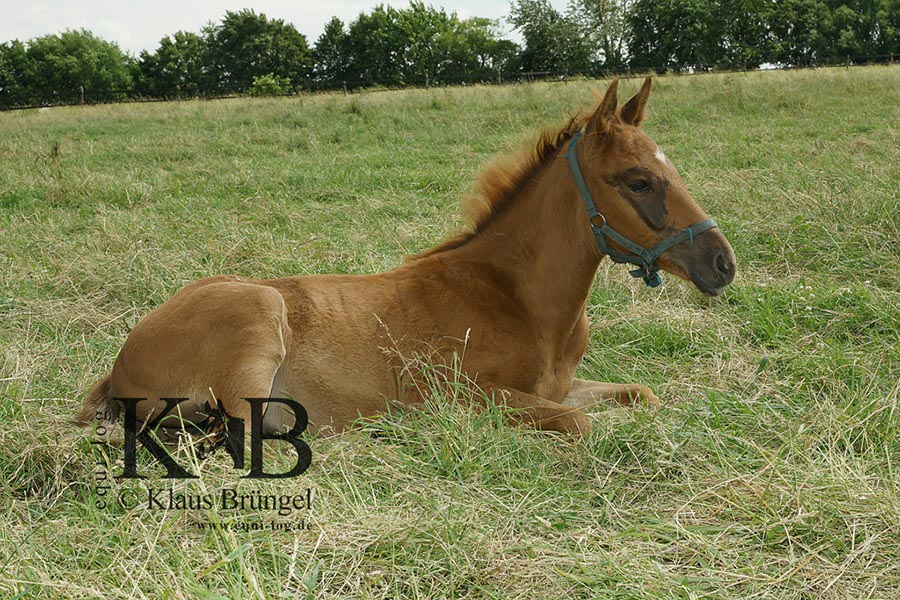 %_tempFileName2013-06-29-In-0504BC%