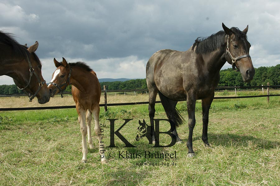 %_tempFileName2013-06-29-In-0509BAC%