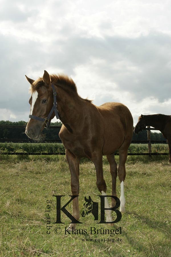 %_tempFileName2013-06-29-In-0545C%