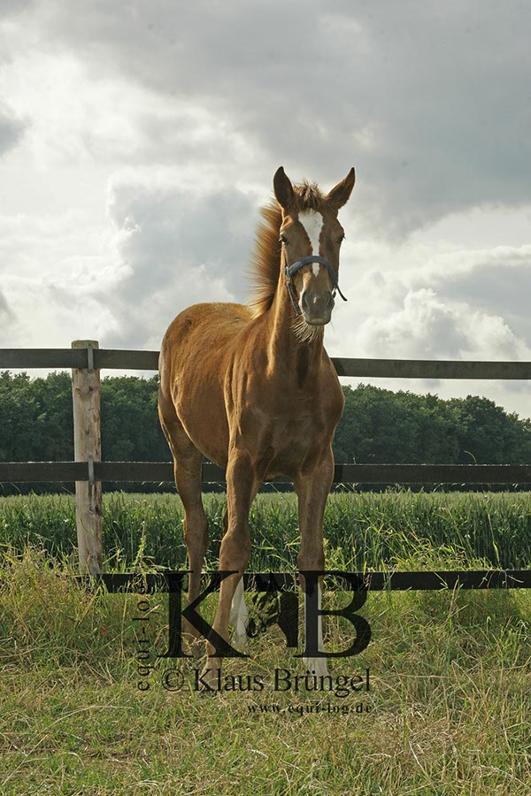 %_tempFileName2013-06-29-In-0551BC%