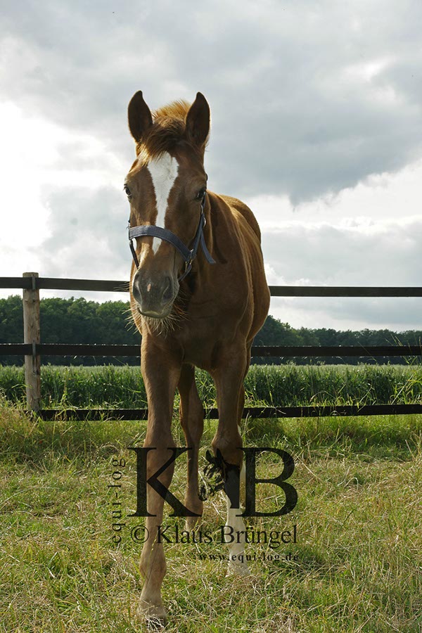 %_tempFileName2013-06-29-In-0552BC%