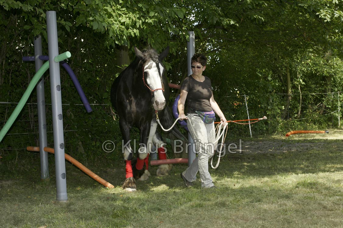 Agility_20120804_0029-Kor2+Fr