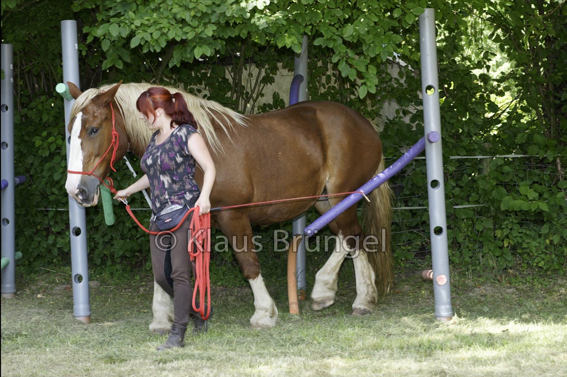 Agility_20120804_0071-Fr